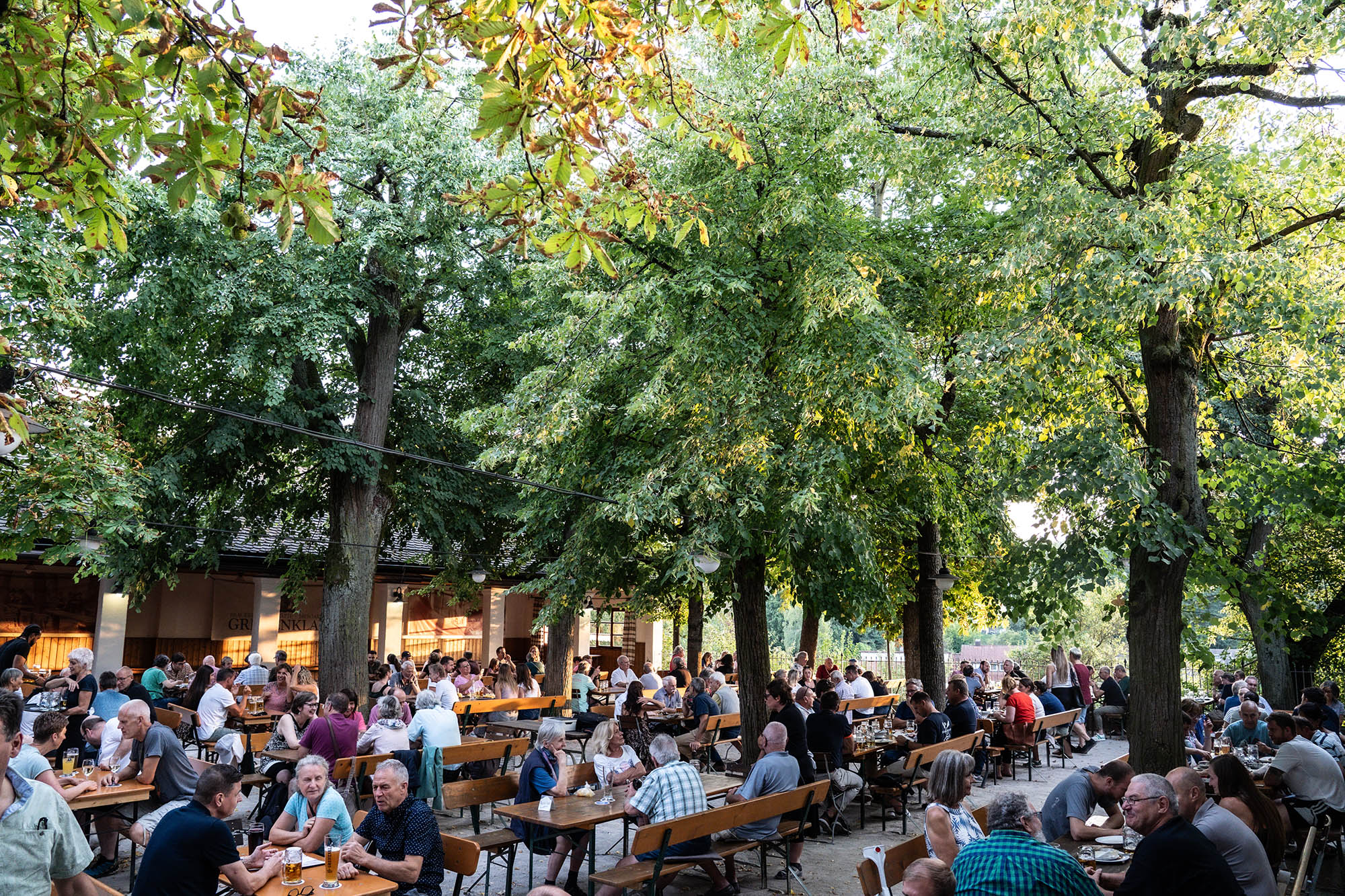 Blick in den vollbesetzten Greifenklau-Biergarten