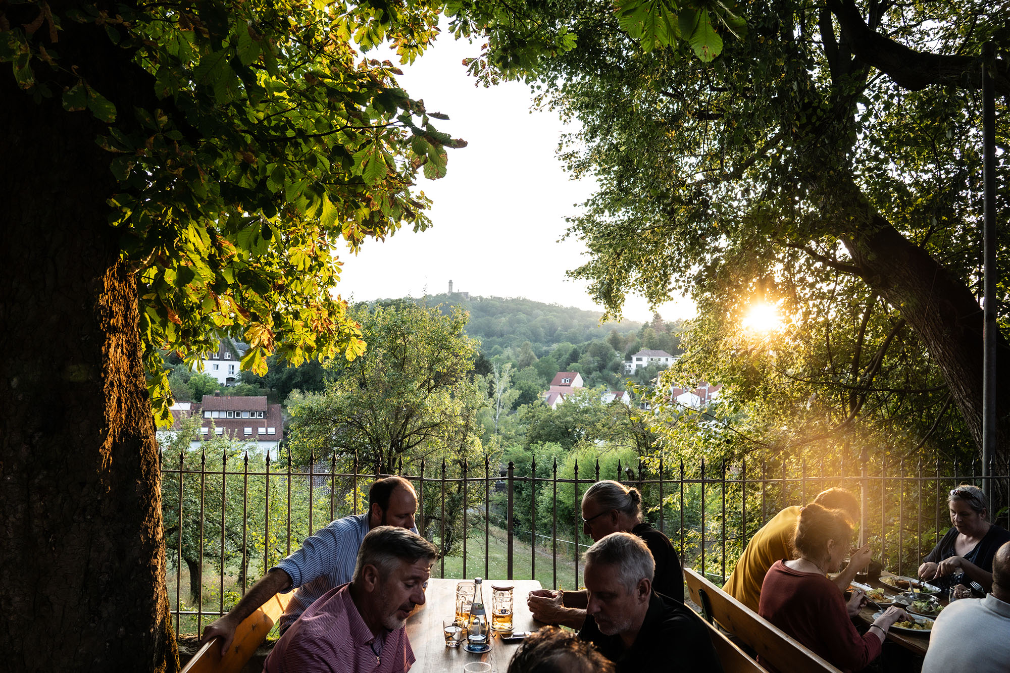 Blick vom Greifenklau-Biergarten auf die Altenburg bei Abendsonne